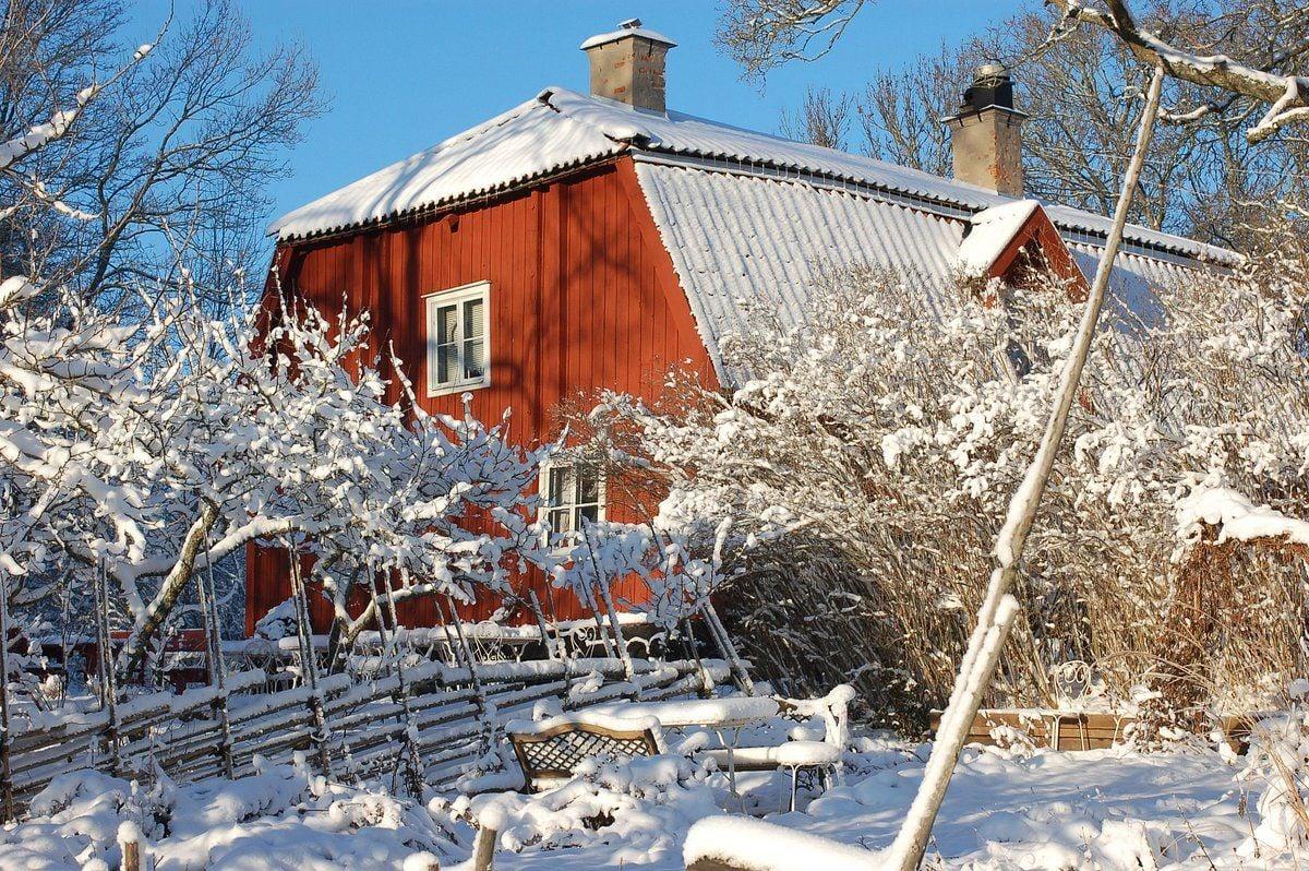 Be sure to take care of these 5 essential tasks in your garden and vegetable patch after the New Year.